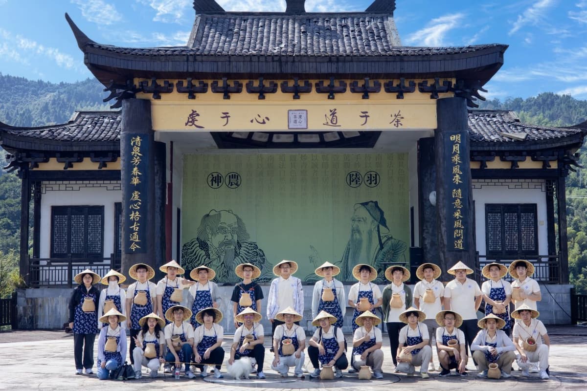 采茶体验：虔于心 道于茶