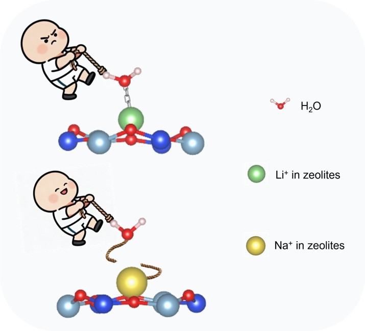 Uncovering the role of Li+-H2O ion-dipole interaction in zeolite deactivation